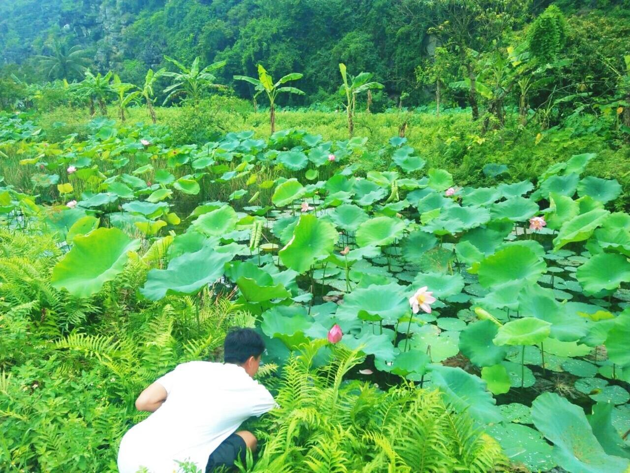 Sunny Trang An Homestay Ninh Binh Zewnętrze zdjęcie